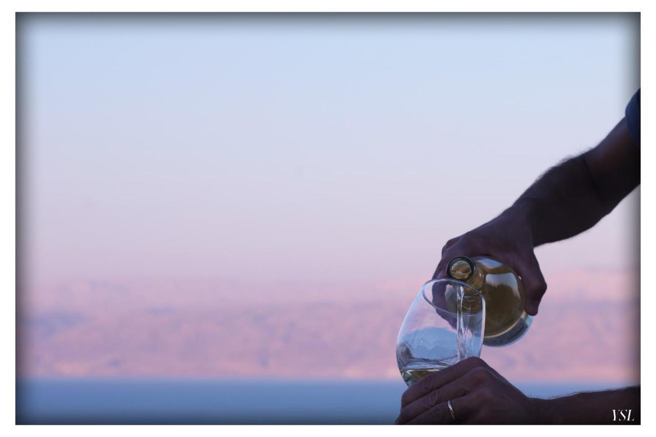Dead Sea Rooftop - גג ים המלח Apartment *